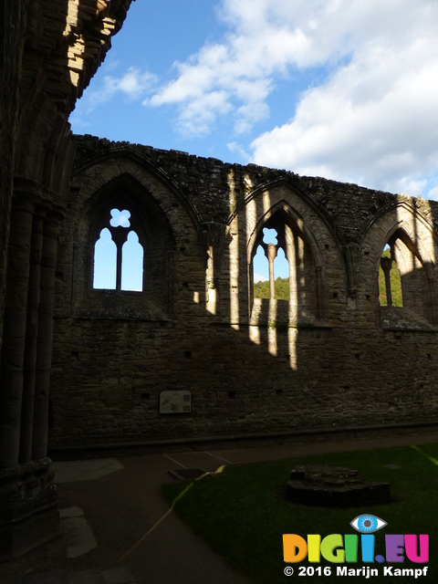 FZ033744 Shadows on Tintern Abbey wall